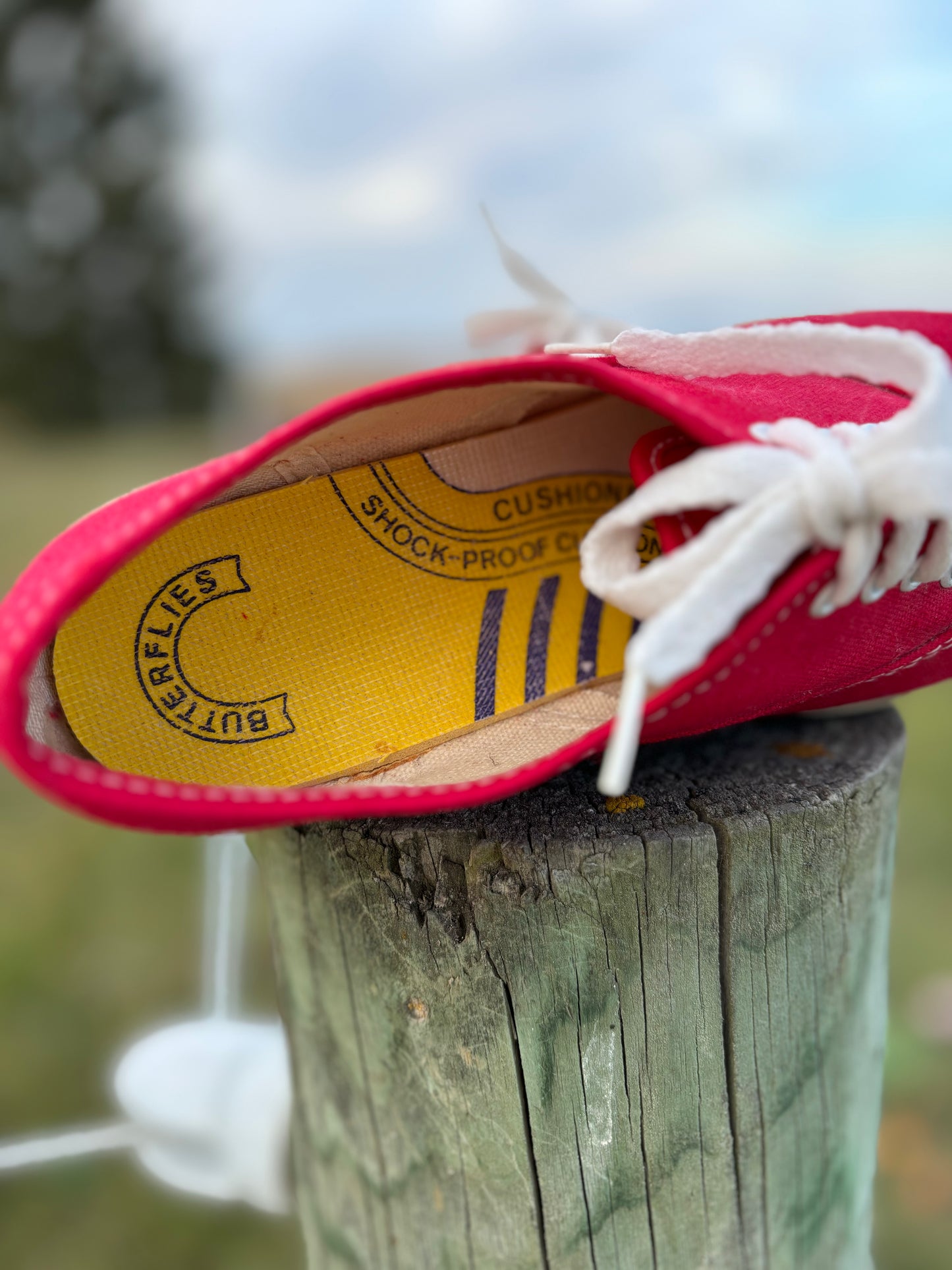 Late 50’s/60’s Vintage Women’s Butterflies Shoes