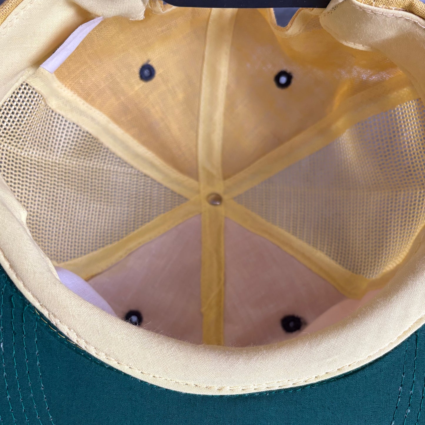 Vintage Trout Fishing Snapback Hat | Deadstock