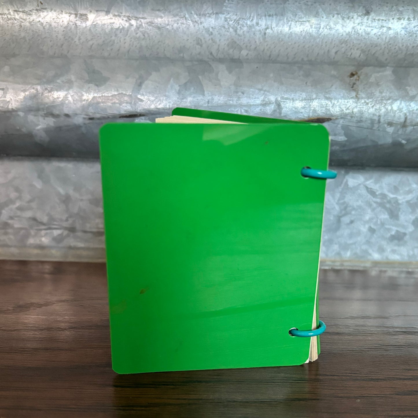 1929 Antique Memo Book with Celluloid Cover and 3D Parrot