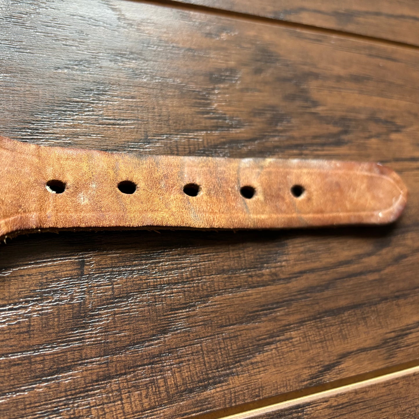 Vintage Western Stretchy Belt with Horse Heads