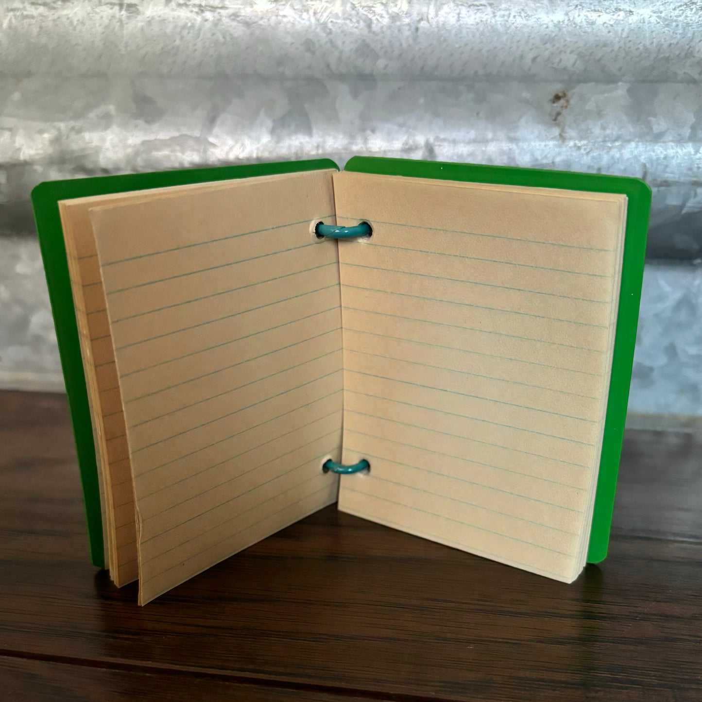 1929 Antique Memo Book with Celluloid Cover and 3D Parrot