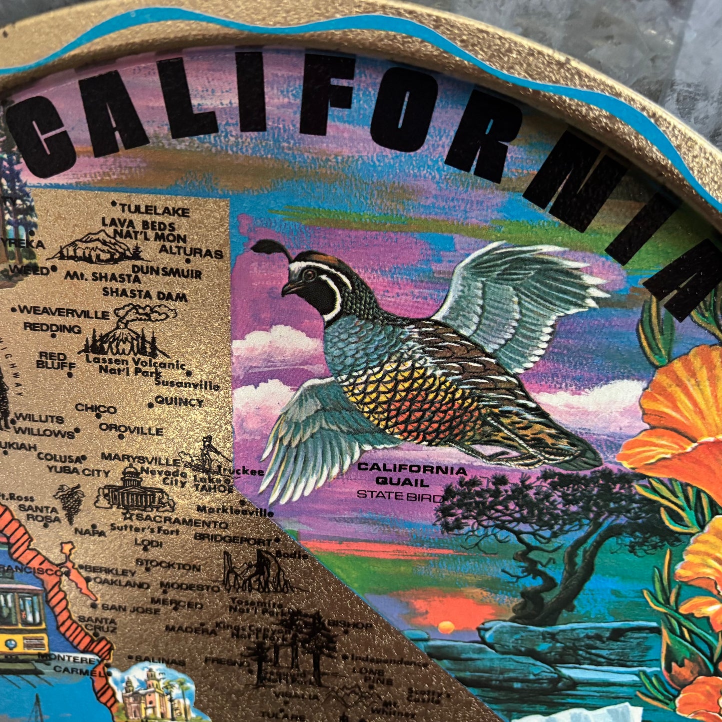 Vintage California Round Souvenir Tin Tray