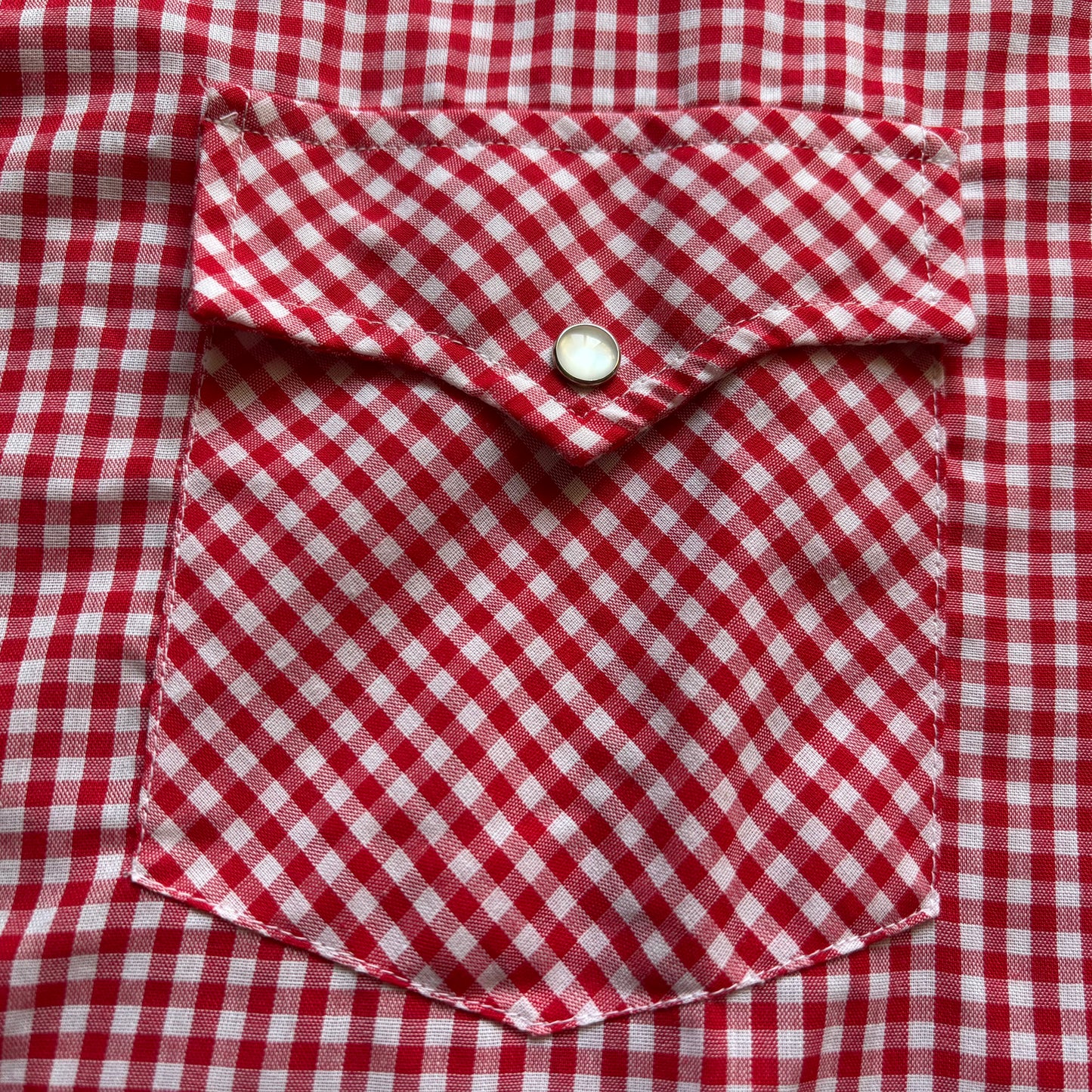 Vintage Western Men’s Sheplers Gingham Print Shirt with Snap Buttons | Made in Korea