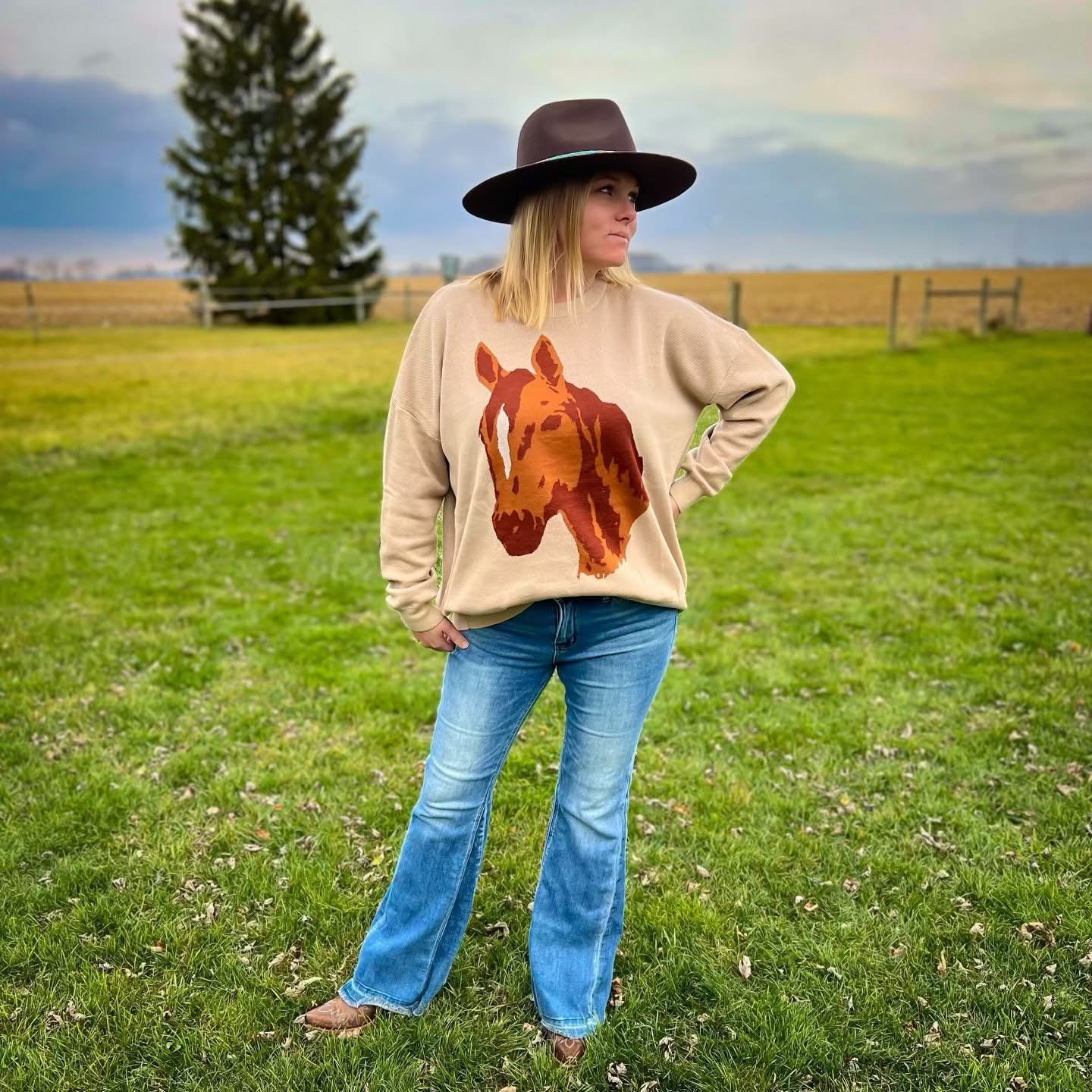 Giddy Up Sweater