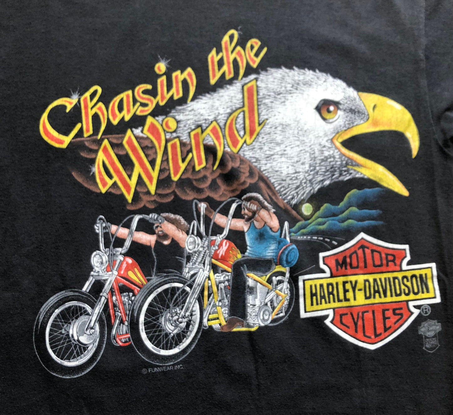Vintage Harley Davidson “Chasin the Wind” Tshirt | Rare