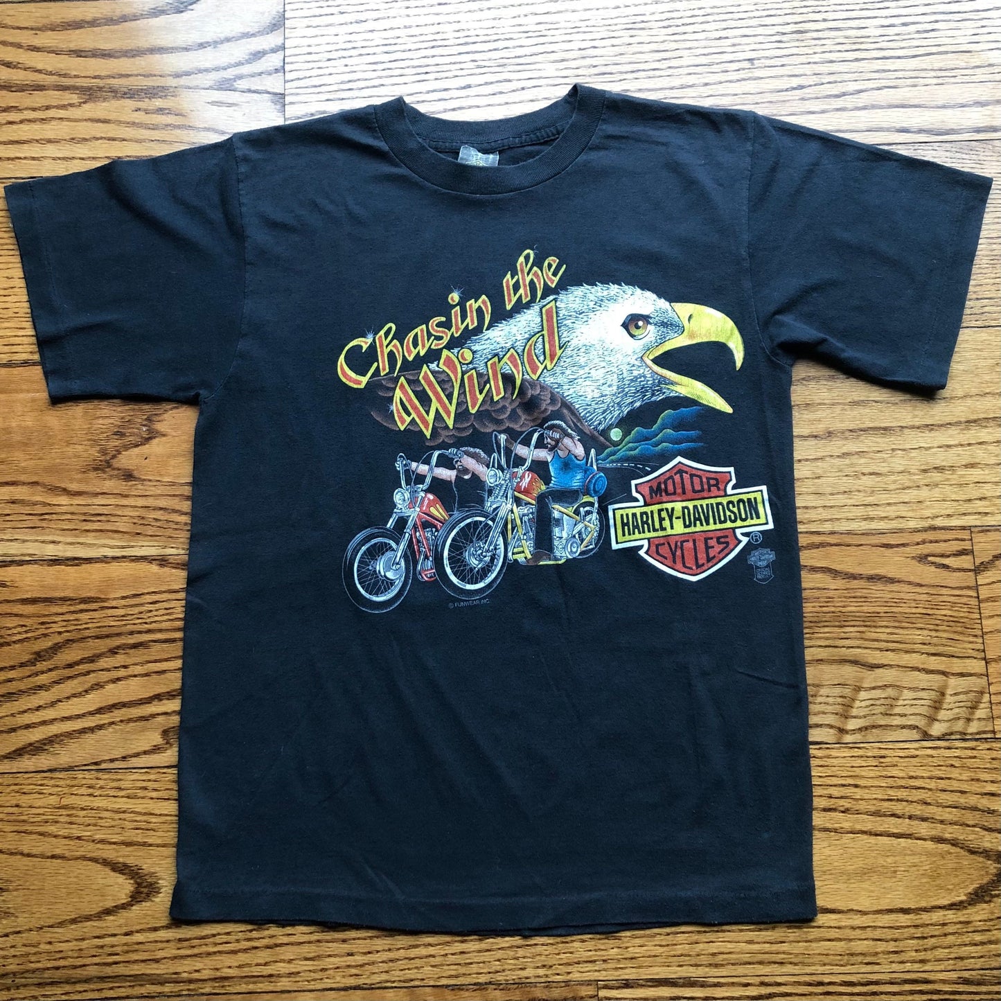 Vintage Harley Davidson “Chasin the Wind” Tshirt | Rare