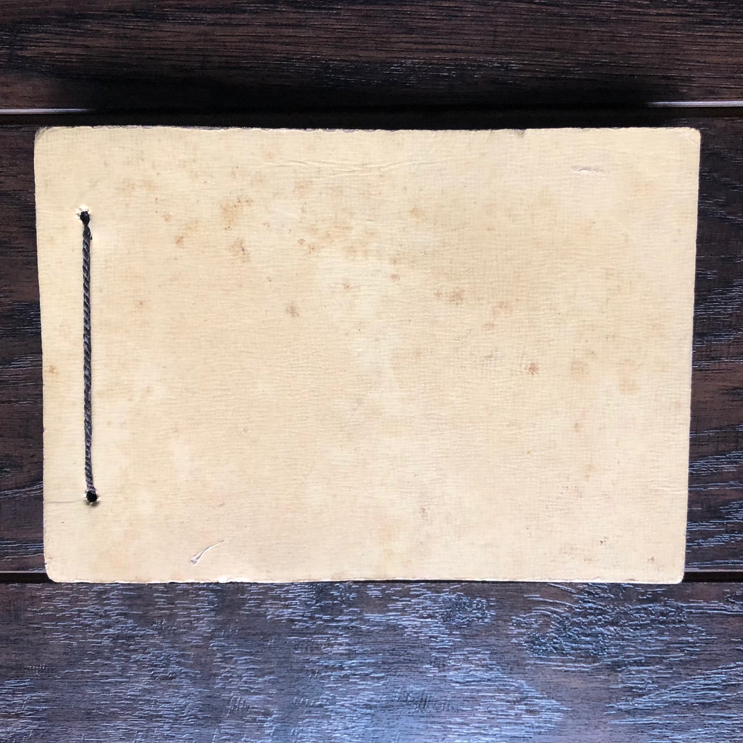 50’s Vintage Souvenir Leather Photo Album | Ludington, Michigan