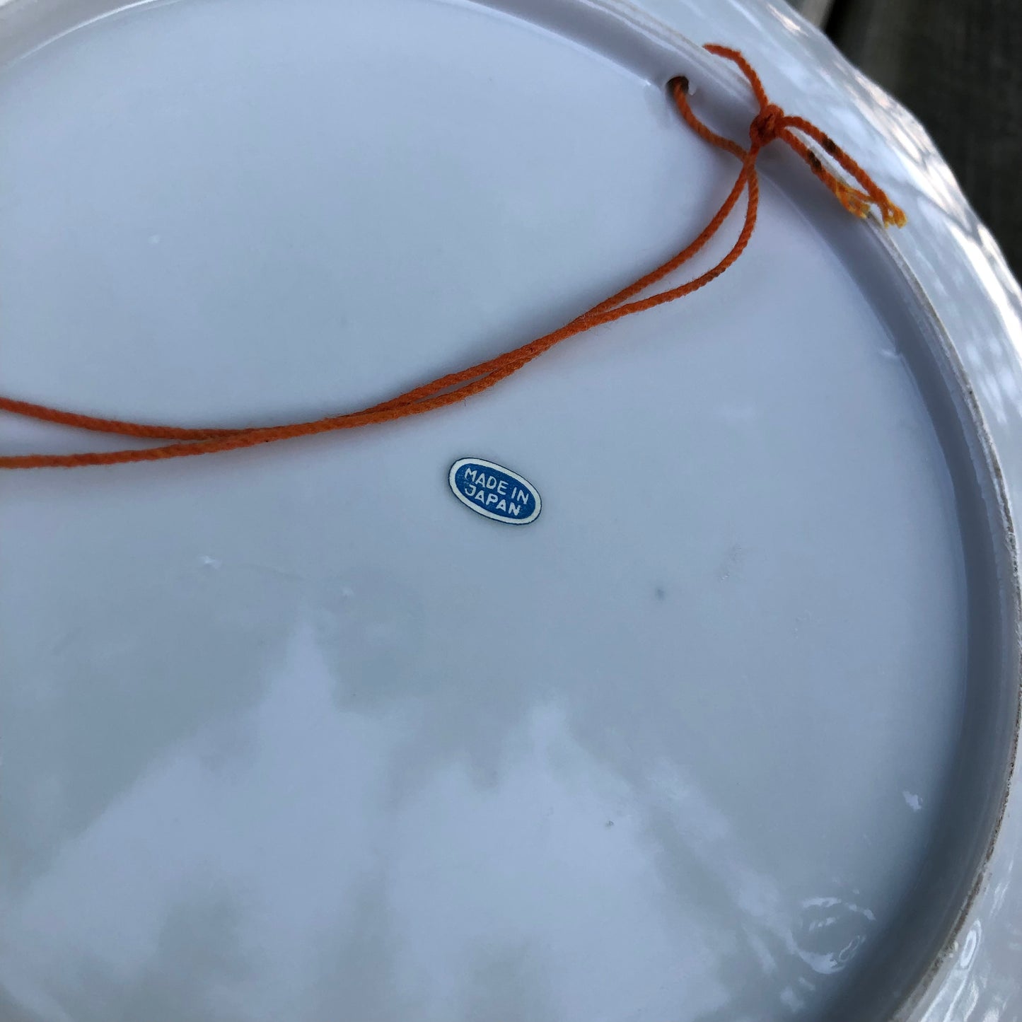 Vintage Yellowstone Park Souvenir Plate | Made in Japan