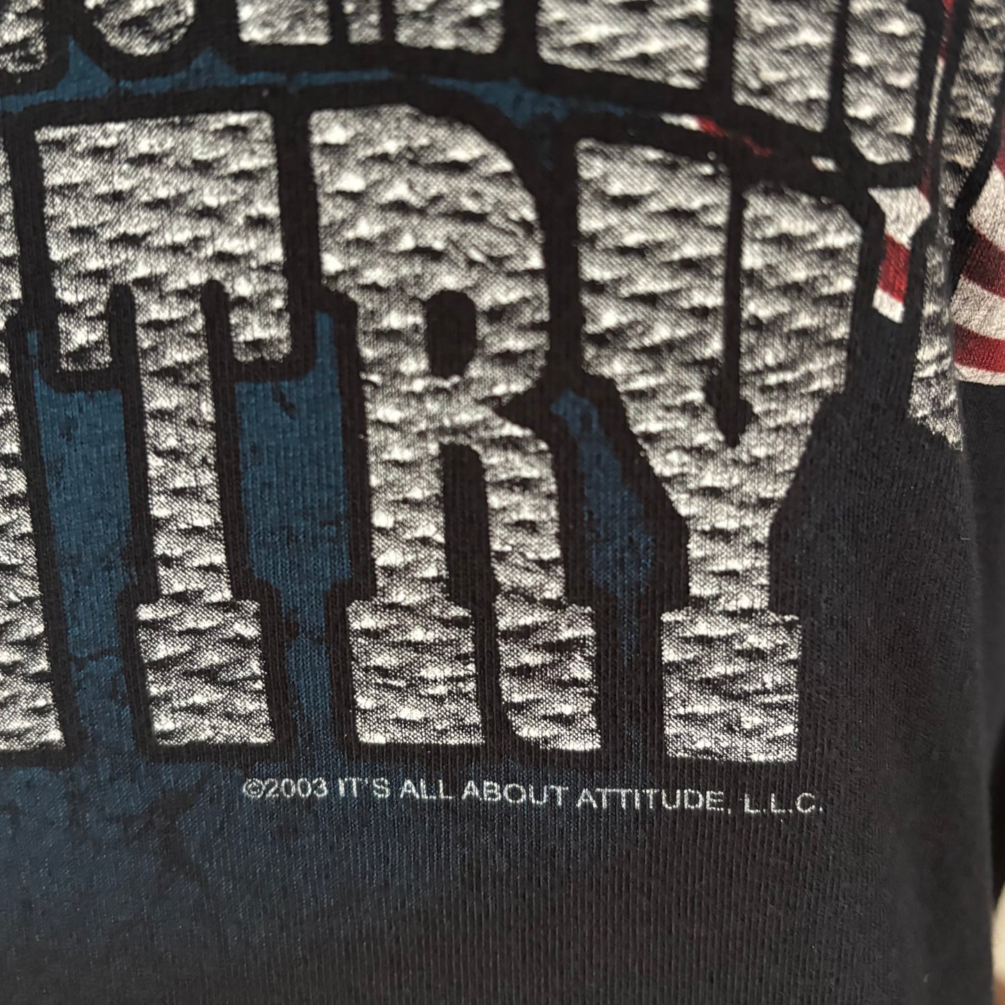 Vintage 2003 Montgomery Gentry Speed T Shirt | Country Music | Double Sided Graphic