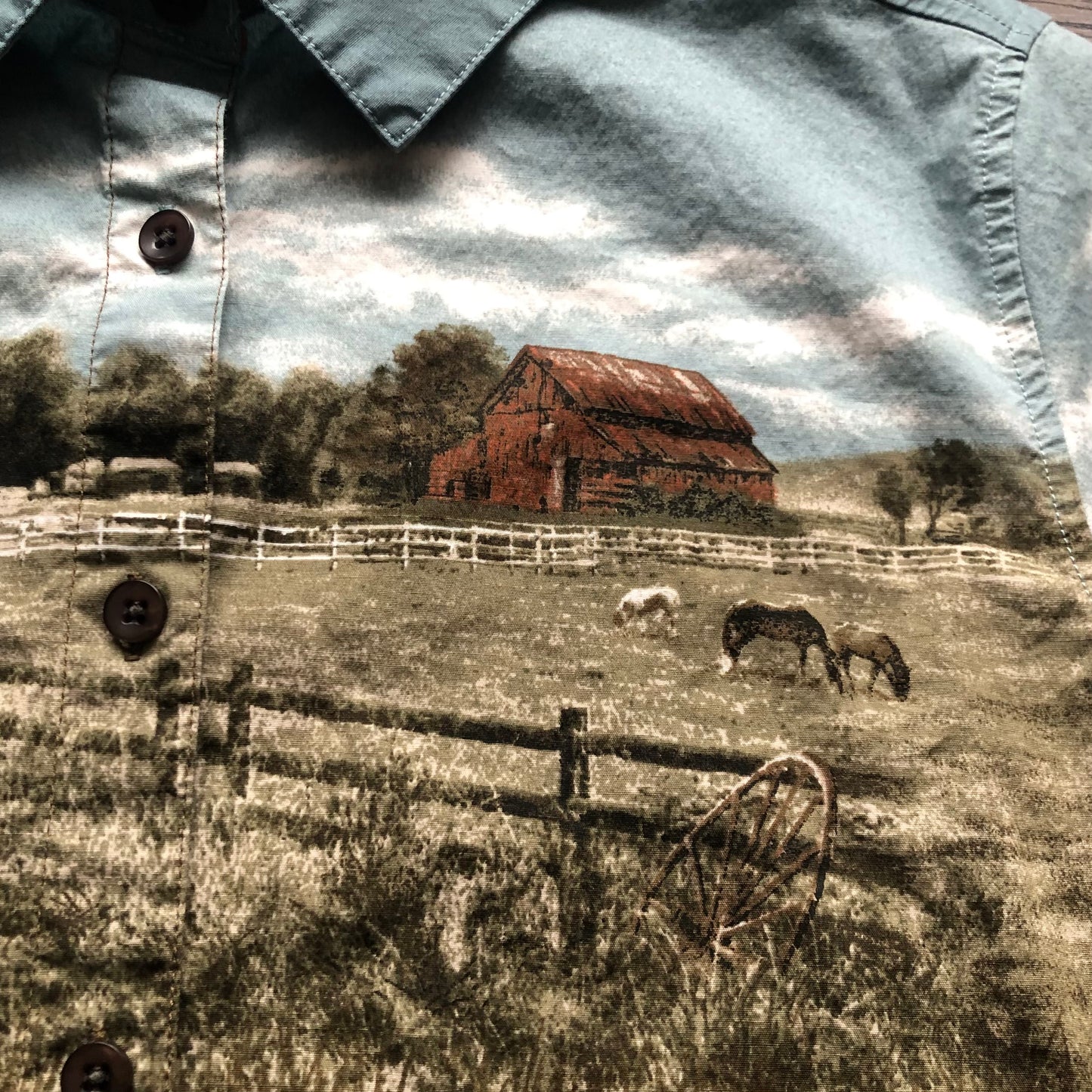Vintage Western Women’s Bit & Bridle Shirt with Horse Scene