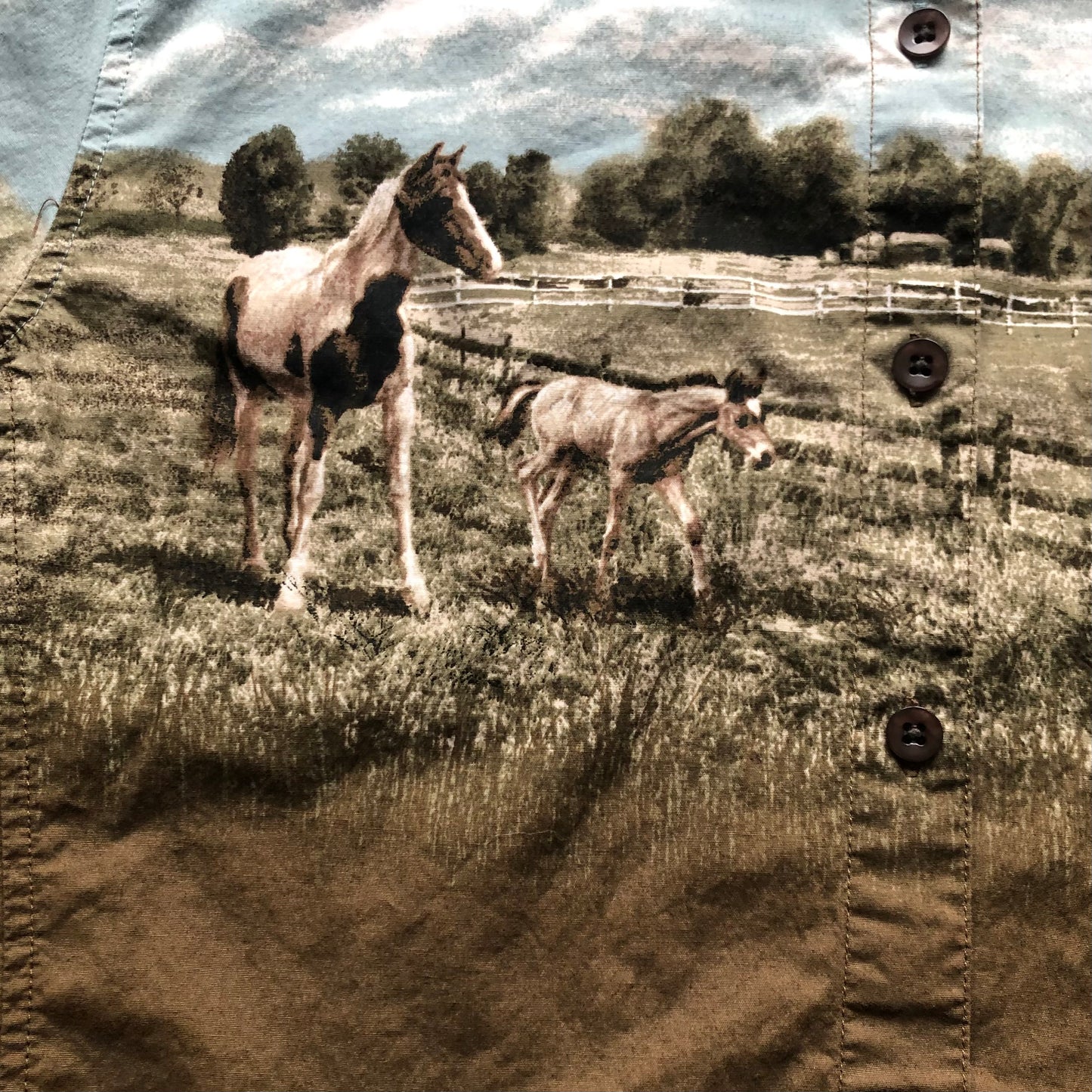 Vintage Western Women’s Bit & Bridle Shirt with Horse Scene