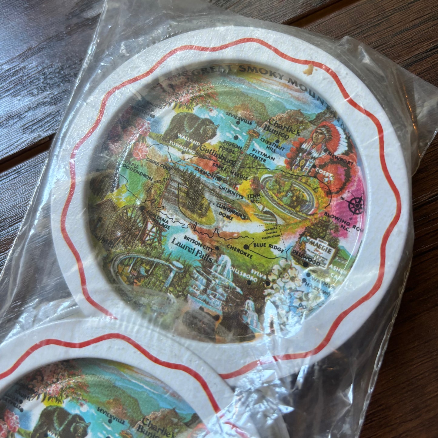 Vintage 1970s Great Smoky Mountains Souvenir Tray & 6 Coasters Gatlinburg Tennessee