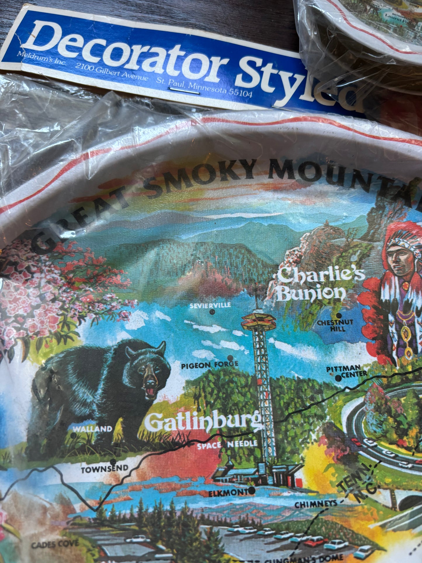 Vintage 1970s Great Smoky Mountains Souvenir Tray & 6 Coasters Gatlinburg Tennessee