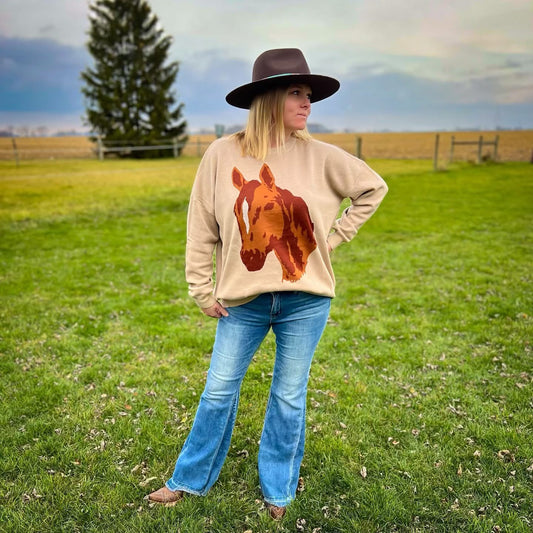 Giddy Up Sweater