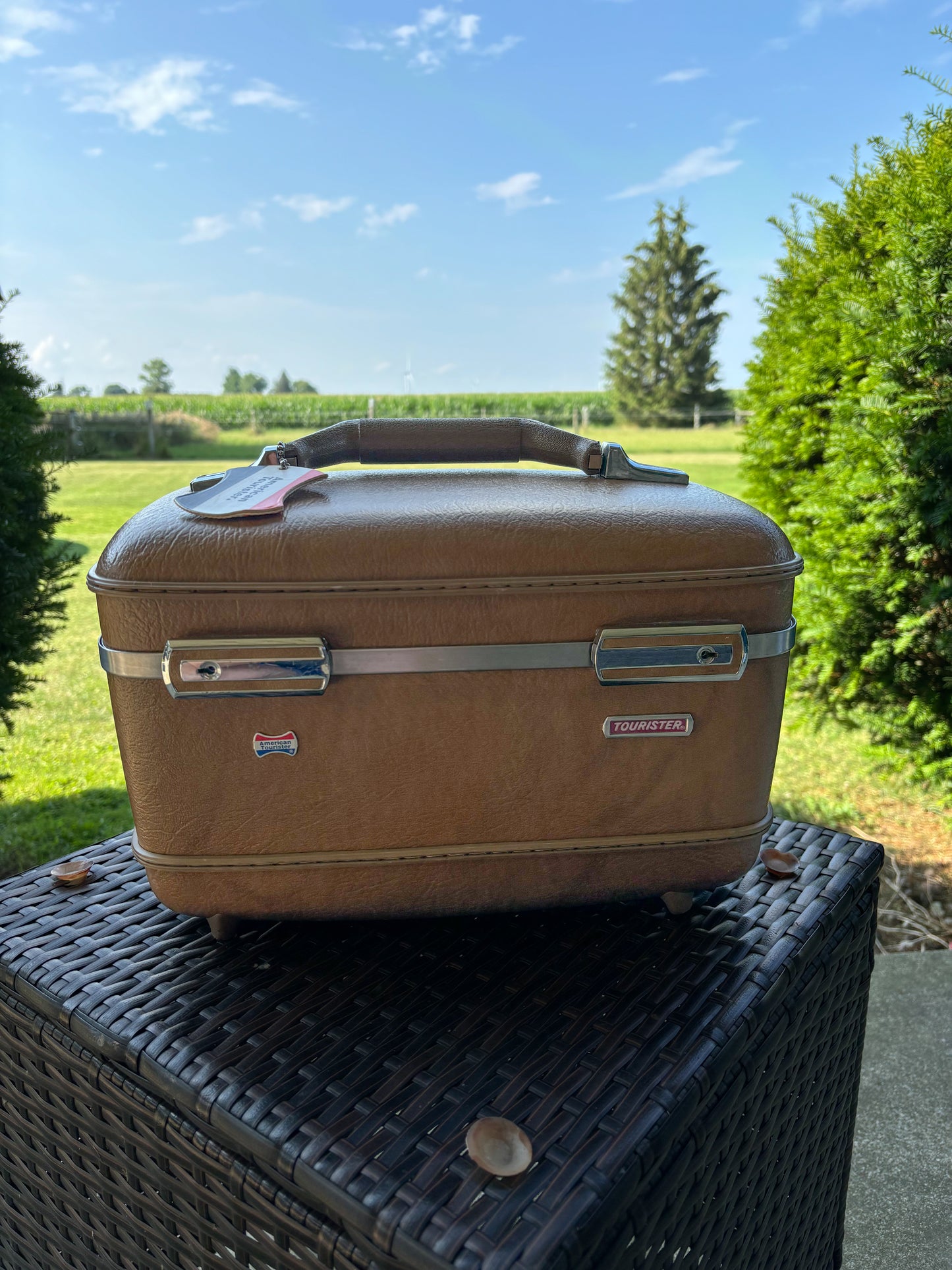 Vintage American Tourist Luggage Train Case with Mirror, Tray and Keys