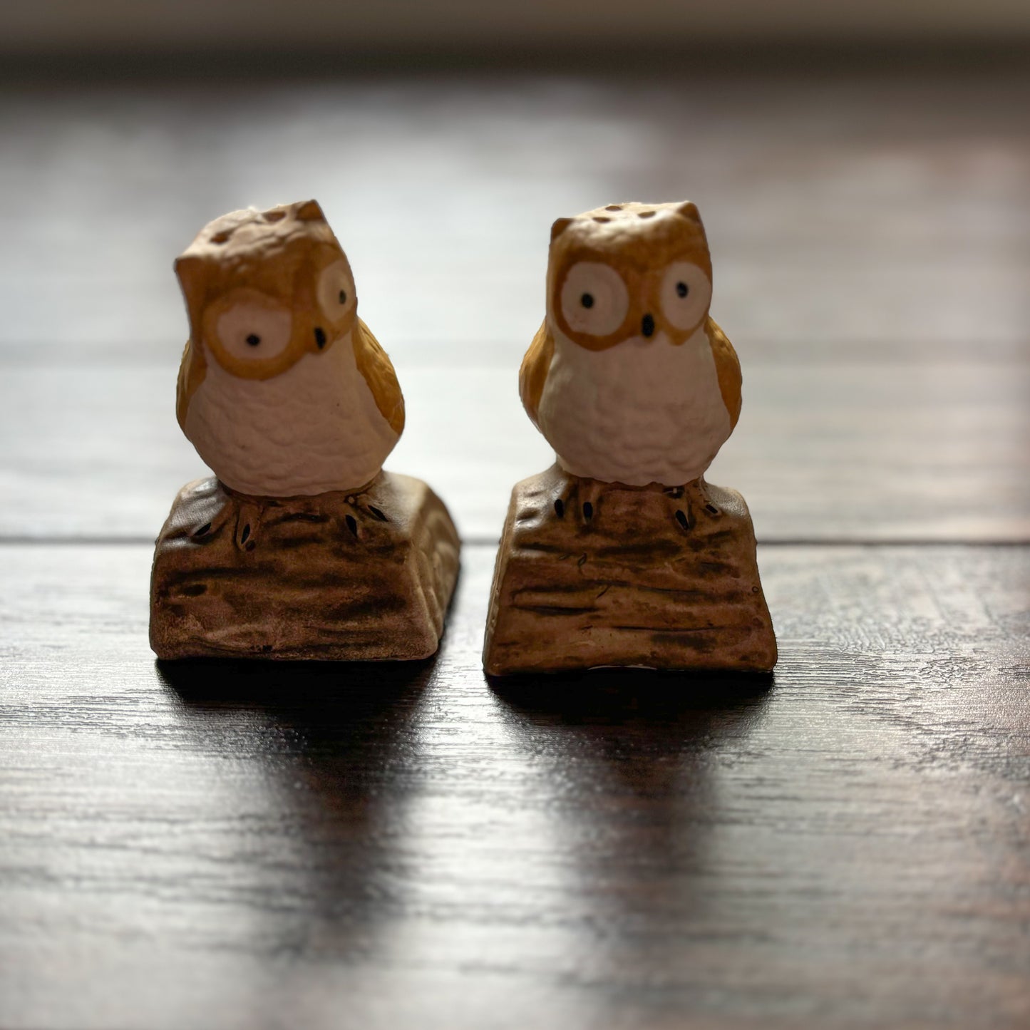 Vintage Ceramic Owls Perched on a Log Salt and Pepper Shakers | Made in Taiwan