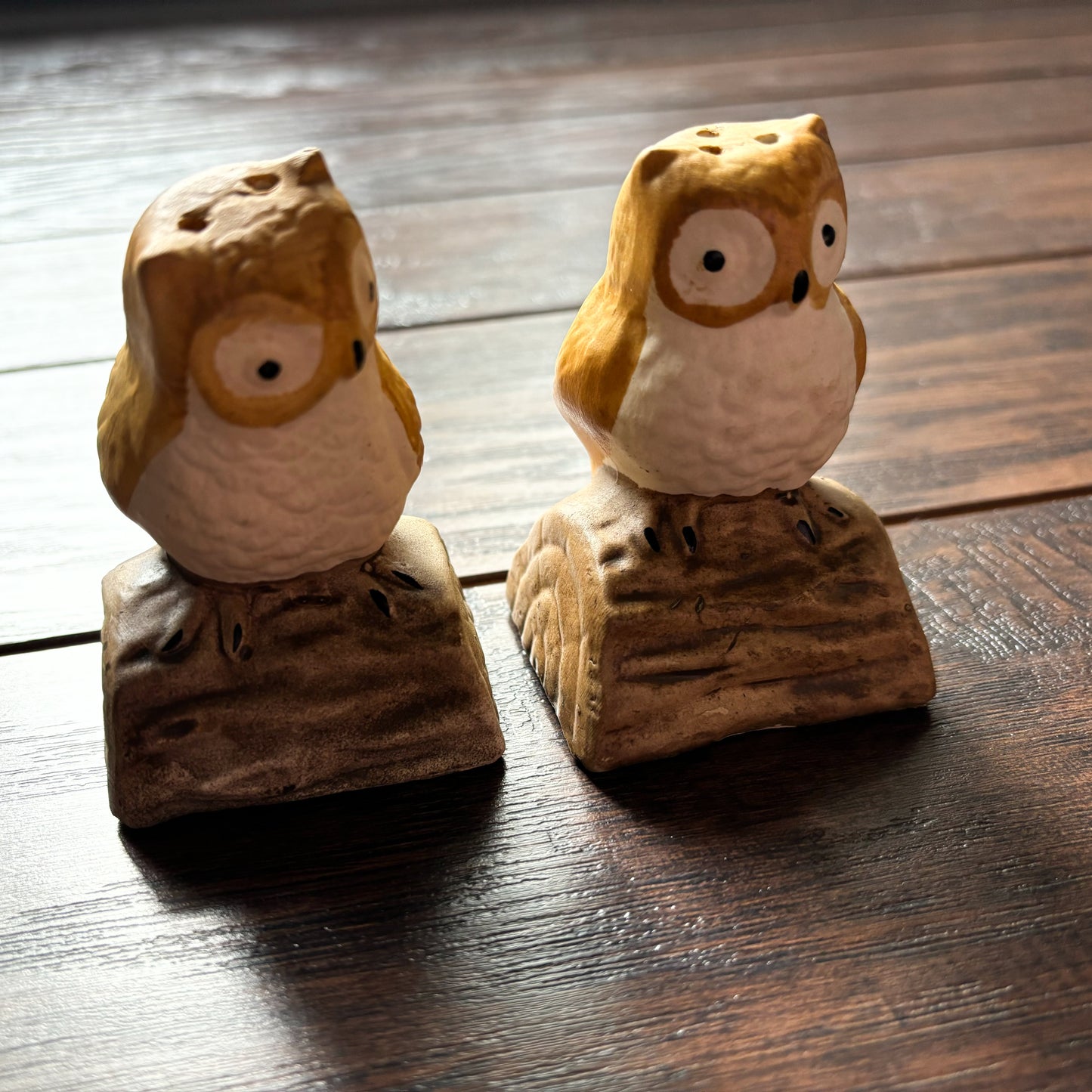 Vintage Ceramic Owls Perched on a Log Salt and Pepper Shakers | Made in Taiwan