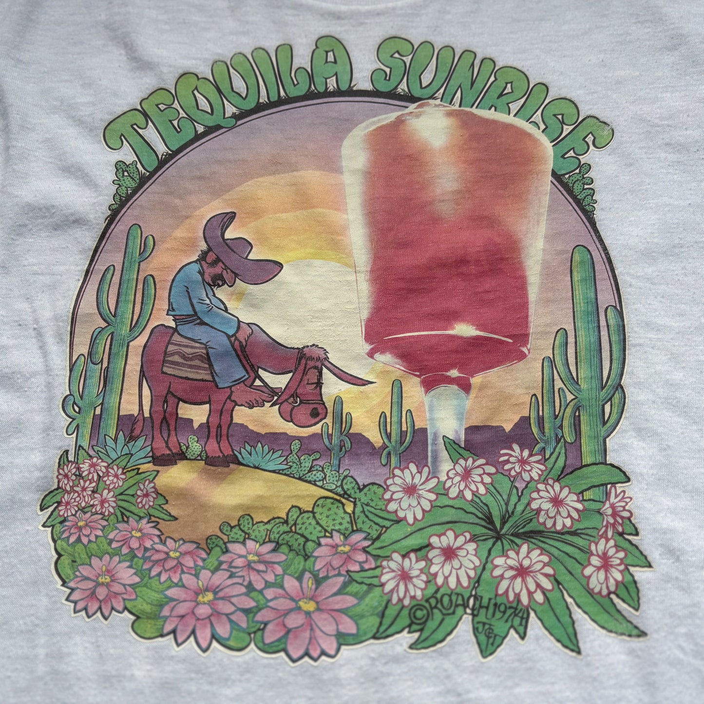 1974 Vintage Western Tequila Sunrise Iron On Graphic T-Shirt | Roach