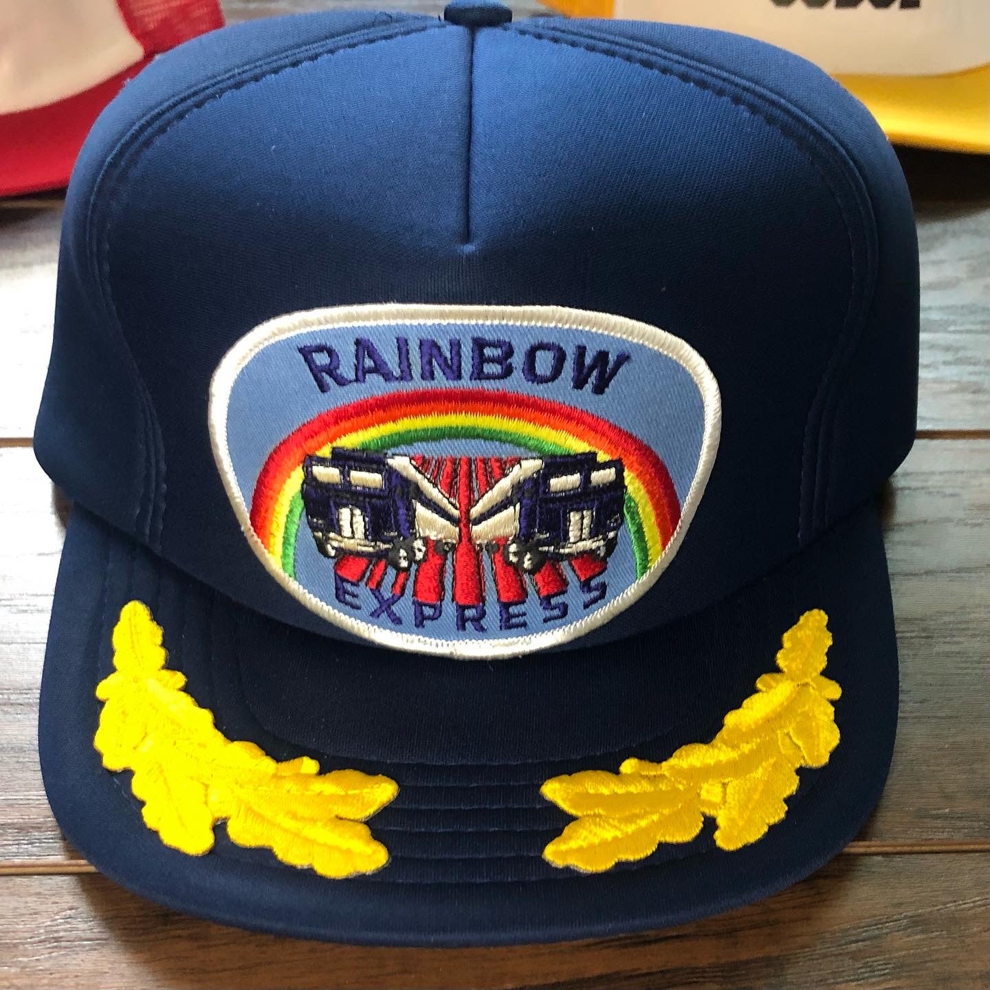 Vintage Rainbow Express Snapback Hat with Oak Leaf Embellishments